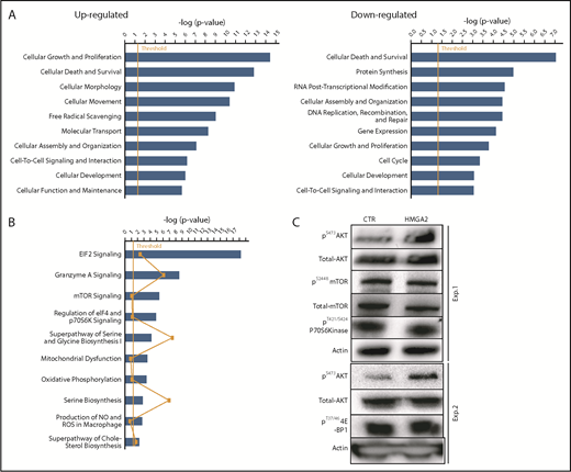 Figure 7. Increased activation of AKT signaling in HMGA2-overexpressing cells. (A) IPA showing cellular functions associated with upregulated or downregulated genes in HMGA2-overexpressing cells. (B) IPA analysis showing cellular pathways enriched in upregulated genes in HMGA2-overexpressing cells. (C) Western blot for the components of the AKT-mTOR pathways in HMGA2-overexpressing cells. Exp., experiment; NO, nitric oxide; ROS, reactive oxygen species.
