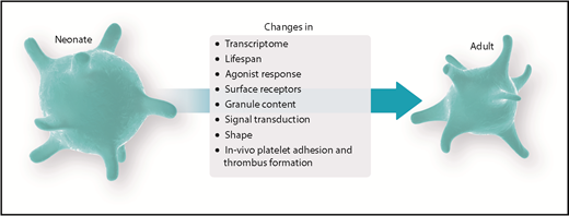 Figure 2. Ontogenetic regulation of platelet function. Experimental data suggest a balanced environment in which platelet function is tightly regulated to achieve an age-dependent modulation of platelet responses.