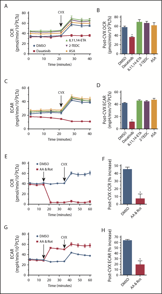 Figure 2. Glycoprotein VI–stimulated platelet respiration. Oxygen consumption (A-B,E-F) and extracellular acidification (C-D,G-H) in isolated human platelets. n ≥ 4; *P < .05 vs dimethyl sulfoxide. 2-TEDC, 2-(1-thienyl)ethyl 3,4-dihydroxybenzylidenecyanoacetate; 8,11,14-ETA, 8,11,14-eicosatriynoic acid; AA, antimycin A; ASA, acetyl salicylic acid; DMSO, dimethyl sulfoxide; OCR, oxygen consumption rate; PLT, platelet; Rot, rotenone.