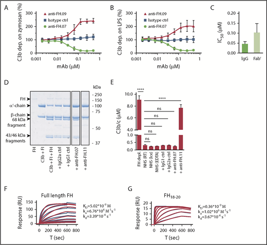 Figure 1. Effect of anti-FH.07 on in vitro AP complement activation. (A) AP-mediated C3b deposition on immobilized zymosan incubated with 10% (vol/vol) NHS in the presence of anti-FH.07 (binding CCP18) or anti-FH.09 (binding CCP6), as determined by ELISA. C3b deposition without addition of mAbs was set to 100%. (B) As in panel A, but with immobilized LPS instead of zymosan. (C) IC50 of intact or Fab′ fragments of anti-FH.07 in the AP-mediated C3b deposition assay on immobilized LPS. (D) Fluid phase regulation by FH was assessed with a fluid phase cofactor activity assay. Purified C3b was incubated with FH and FI, with addition of the indicated mAbs (anti-FH.11 binds CCP1-4). Cleavage of the α′-chain of C3b was visualized with SDS-PAGE run under reducing conditions, stained with PageBlue. Lanes were run on the same gel but were noncontiguous. (E) C3b/c concentration determined by ELISA after incubation of NHS with the indicated mAbs to assess fluid phase activation of C3. (F-G) Representative SPR sensograms (n = 2) of the binding of full-length FH (F) or a fragment of FH comprised of domains 18 to 20 (G) to immobilized anti-FH.07. For full-length FH, a twofold diluting concentration range starting at 200 nM was probed. For FH18-20, a twofold diluting concentration range starting at 150 nM was probed. Injections were done in random order. The first 200 seconds of the 600-second dissociation phase are shown. Red lines depict the fits of a 1:1 association model. Data in panels A-C,E are presented as mean of n = 3 with standard deviation. ****P < .0001, 1-way ANOVA. ns, not significant; RT, room temperature.