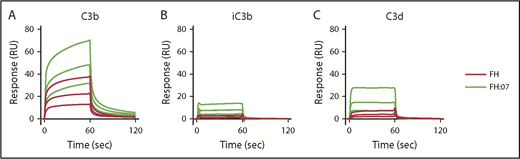 Figure 2. Effect of anti-FH.07 Fab′ fragment on binding of FH to C3 fragments. Binding of FH in the absence or presence of anti-FH.07 to C3b (A), iC3b (B), and C3d (C). C3b (2,045 RU), iC3b (2,039 RU) and C3d (2,055 RU) were amine-coupled to a CM5 chip to assess binding of FH (black lines) or FH in the presence of 4 µM anti-FH.07 Fab′ fragments (FH:07, orange lines). Double injections of a twofold diluting concentration range starting at 2 µM FH were probed in random order throughout. For ease of interpretation, only the sensograms of 2, 1, and 0.5 µM FH and FH:07 are shown. Sensograms were normalized for the molecular weight of FH (155 kDa) or the FH:anti-FH.07 Fab′ fragment complex (205 kDa), respectively. All graphs shown are representative of multiple experiments (n ≥ 2).