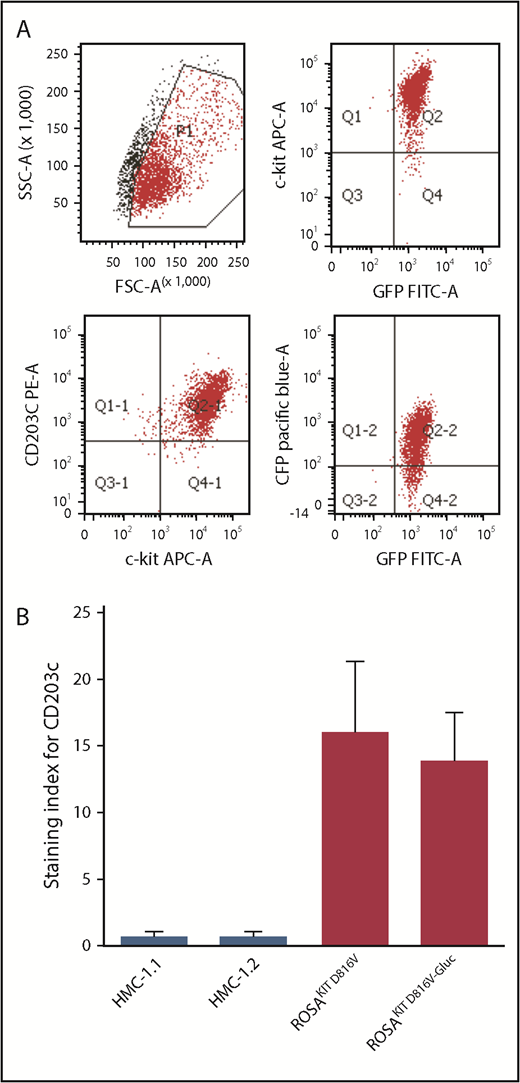 Figure 1. CD203c expression in human neoplastic mast cell lines. (A) Representative flow cytometric evaluation of CD203c expression on ROSAKIT D816V-Gluc cells. (B) Assessment of surface expression of CD203c by flow cytometry on HMC-1.1, HMC-1.2, ROSAKIT D816V, and ROSAKIT D816V-Gluc cells. Results are expressed as staining index (SI, median fluorescence intensity values of tested Ab relative to its isotype control) and represent the mean ± standard deviation of triplicates. APC-A, allophycocyanin α; GFP, green fluorescent protein; SSC-A, side-scatter area.