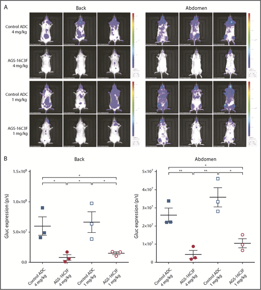 Figure 3. AGS-16C3F decreased luciferase activity in vivo after 2 weeks of treatment. (A) IVIS showing localization and density of Gluc in treated mice. Units in rainbow color scales are photons per second per centimeter squared per steradian (p/s/cm2/sr). (B) Total relative units per second were calculated for Gluc intensity shown in panel A by reactive oxygen intermediates analysis. Left, back; right, abdomen. Each group comprises 3 mice. Data for each animal are represented; the horizontal bar is the average. *P < .05; **P < .01 assessed by Student t test.
