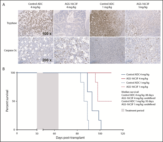 Figure 6. Treatment with AGS-16C3F increased apoptosis of ROSAKIT D816V-Gluc cells in hematopoietic organs and increased survival of mice. Mice were euthanized 4 days after the last injection of AGS-16C3F. (A) Tryptase staining (upper line) and cleaved caspase 3 (lower line) in femur from control ADC or from AGS-16C3F-treated mice. (B) AGS-16C3F prolonged life span of mice. Survival analyses (n = 6 animals/group). Treatment was performed between days 50 and 64, as indicated in the blue box. Statistical difference: P = .02, between the high and low dose of control-treated mice; P < .001 between AGS-16C3F and high- or low-dose control-treated mice independently (log-rank test).