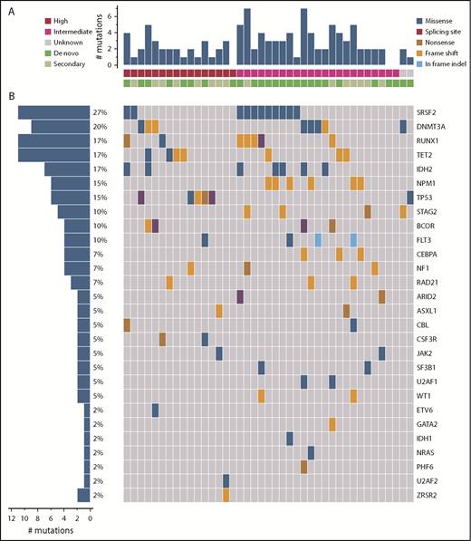 Figure 1. Landscape of high-confidence somatic mutations detected in pretreatment BM samples. (A) Number of mutations in each patient by cytogenetic risk group and type of AML. (B) Frequency of each type of mutation by patient. Each column represents 1 patient and each row represents 1 specific mutation.