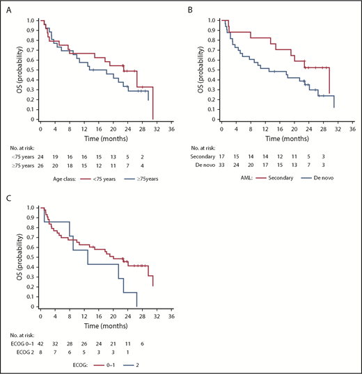 Figure 3. Outcomes of patients treated with pracinostat plus azacitidine based on age, AML subtype, and ECOG status. (A) OS stratified by age. (B) OS stratified by AML subtype. (C) OS stratified by ECOG status.