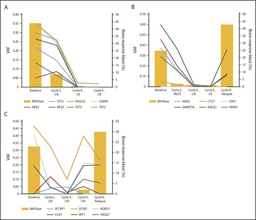 Figure 4. Representative cases of longitudinal sequencing analyses. Each panel shows data for 1 patient. (A) Prolonged exposure to pracinostat plus azacitidine continued to lower mutants’ VAF. (B) Reexpansion of the original mutations on relapse after achieving CR. (C) Acquisition of a new mutation (RAD21) at the time of relapse with increase of original mutants' VAF at the time of cycle 6 before frank relapse.