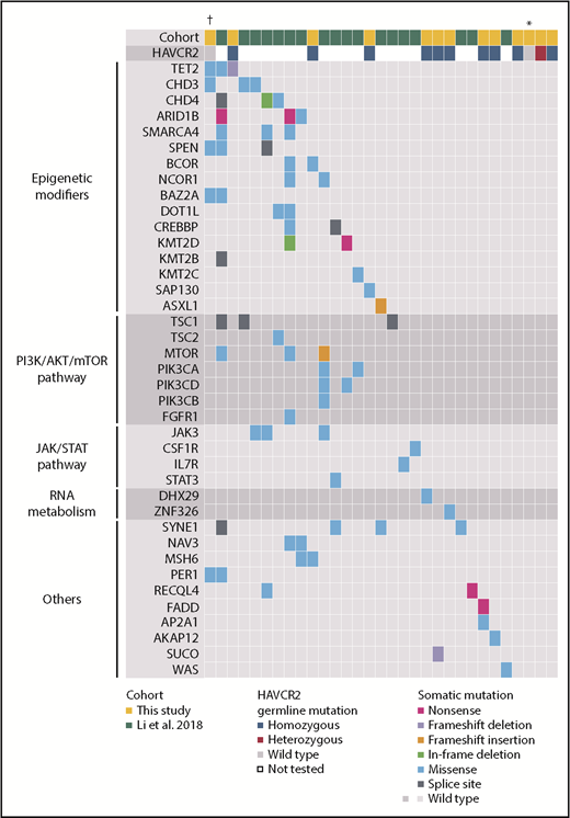 Figure 2. Landscape of somatic and germline mutations in SPTCL. On the basis of combined results from a previous study4 and this study (supplemental Table 1), the spectrum of somatic and germline mutations in SPTCL is shown. Each column represents an individual case, and each row represents the indicated mutated gene. Genes were assigned to the functional categories shown on the left. The types and status of the mutations are shown by the indicated colors. †Case with HIV infection. *Case with SLE.