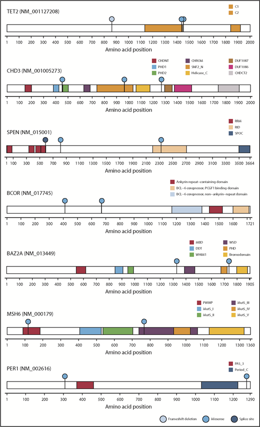 Figure 3. Genes mutated in common between the independent cohorts of SPTCL. Among the entire spectrum of mutations (Figure 2; supplemental Table 1), mutations in TET2, CHD3, BCOR, BAZ2A, SPEN, MSH6, and PER1 are shown, because mutations in these genes were identified in a previous study4 and in this study. Functional domains of the mutated genes and the types of mutations are indicated by the corresponding colors.
