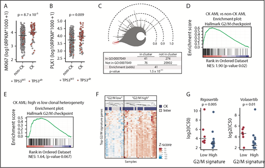 Figure 4. Higher expression of G2/M genes in CK AML and correlation to PLK1 inhibitors sensitivity. MKI67 (A) and PLK1 (B) messenger RNA expression in CK AML compared with non-CK. TP53WT samples are depicted in gray, and TP53alt samples are depicted in red. (C) Icicle representation of all correlated genes in the human AML transcriptome (cohort n = 415) showing that cell-cycle genes (GO:0007049) are highly enriched in the most correlated peak (red), thus indicating that cell-cycle genes are highly correlated in human AML. (D) Gene set enrichment analysis in CK (n = 68) compared with non-CK AML (n = 347) and showing results for the hallmark G2/M checkpoint gene set (supplemental Table 11), which was the single most enriched hallmark set. (E) Gene set enrichment analysis in CK AML comparing samples with higher (n = 55) vs low (n = 13) clonal heterogeneity. Results show the hallmark G2/M checkpoint gene set. (F) Hierarchical clustering performed on samples included in the primary screen using the 50 most enriched genes in hallmark G2/M checkpoint gene set. z scores were applied on rows. (G) Dot plot comparison of rigosertib and volasertib IC50 values (Log2 nM) restricted to CK AML samples classified according to their G2/M signature. Medians are represented by a black line. Inter, intermediate; NES, normalized enrichment score.