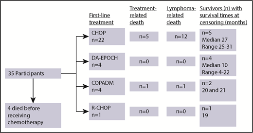Figure 2. Flowchart of first-line chemotherapy and outcomes among newly diagnosed patients with BL in Lilongwe, Malawi.