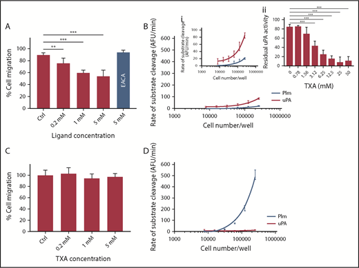 Figure 2. TXA inhibits cell migration of MDA-MB-231 BAG breast cancer cells in vitro. Two cell lines were studied: the MDA-MB-231 BAG breast cancer cell line (A-B) and the OVMZ6 ovarian adenocarcinoma cell line (C-D). Inhibition of cell migration by TXA is observed in MDA-MB-231 BAG cells (A) but not in the OVMZ6 cell line (C). (B) Endogenous uPA and Plm activities were detected in MDA-MB-231 BAG cells (panel i is the same as panel B with a reduced scale on the y-axis for better illustration). (Bii) The endogenous uPA activity (250 000 cells per reaction) was inhibited by TXA (0-50 mM) in a dose-dependent manner. (D) No uPA activity was recorded in OVMZ6 cells, but a high level of Plm activity (∼30 times that of MDA-MB-231 BAG cells) was recorded. The Transwell cell-migration assay was performed by incubation of cells with TXA at 0, 0.2, 1, and 5 mM or with EACA at 5 mM for 30 minutes,23 after which migration was allowed to occur at 37°C for 3 hours. Cells were stained with a Quick Dip staining kit (Fronine) and imaged with an Olympus IX71 microscope at ×200 magnification. Migrated cell numbers were counted and averaged from 10 individual microscopic frames in duplicate conditions and plotted as a percentage of 0 mM TXA. Endogenous Plm and uPA activity was measured (as for Figure 1A) using fluorogenic substrates (as for Figure 1C) on a range of cell number inputs. All data points represent the mean ± standard deviation of ≥3 independent experiments. Both cell lines were maintained at 37°C with 5% CO2 in Dulbecco’s modified Eagle medium supplemented with 10% fetal bovine serum, penicillin (50 U/mL), and streptomycin (50 μg/mL). **P < .005, ***P < .0005, 1-way analysis of variance using GraphPad Prism. AFU, arbitrary fluorescence units.