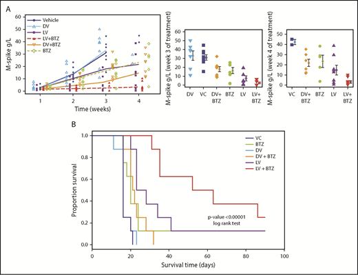 Figure 6. RV + BTZ treatment leads to significant reductions in MM tumor burden and superior OS. C57BL/6 wild-type recipient mice were injected with Vk12598 myeloma cells (8 × 105) IV and treated per the schematic in Figure 2A. Mice were bled weekly posttreatment and serum paraprotein was evaluated via high-resolution serum electrophoresis. (A) Left: M-spike changes in mice posttreatment from week W1 through W4. GEE analysis up to W3 indicated that cohorts of LV, LV + BTZ, DV + BTZ, and BTZ were different from the VC group at W2 and W3, but not at W1 (P < .05). DV vs VC showed no differences at all time points. GEE trend analysis of W1 through W4 data also indicated treatment groups were different (P < .05) from the VC group at W2, W3, and W4, but not at W1. Center and left: Mean M-spike data at weeks 3 and 4, respectively. (B) Kaplan-Meier survival plots of mice posttreatment. P < .00001, log-rank test.