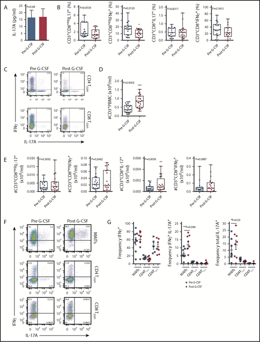 Blood MAIT cells are modified by G-CSF mobilization. (A) Plasma IL-17A levels before and after G-CSF administration (n = 17 donors). (B-C) Frequency and representative FACS plots of Th17 (CD3+CD8negIL-17A+), Th1 (CD3+CD8negIFN-γ+), Tc17 (CD3+CD8+IL-17A+), and Tc1 (CD3+CD8+IFN-γ+) subsets in PBMCs (n = 15 donors). (D) Number of CD3+ T cells per milliliter PB (n = 20 donors); ***P = .0007. (E) Number of Th17 (CD3+CD8negIL-17A+), Th1 (CD3+CD8negIFN-γ+), Tc17 (CD3+CD8+IL-17A+), and Tc1 (CD3+CD8+IFN-γ+) subsets per milliliter PB (n = 15 donors); **P = .0079, Tc17 number before vs after G-CSF. Data were analyzed using the paired Wilcoxon signed rank test and are presented using box-and-whisker plots showing the median with 25th percentiles (whiskers represent minimum to maximum values). (F) Representative FACS plots depicting IFN-γ and IL-17 expression in sorted donor MAIT, CD4Tcon, and CD8Tcon populations stimulated ex vivo with phorbol 12-myristate 13-acetate/ionomycin. (G) Frequency of IFN-γ–, IFN-γ/IL-17A–, and total IL-17A–expressing MAIT, CD4Tcon, and CD8Tcon populations (n = 5-8 donors); **P=.004, frequency of IFN-γ/IL-17A–expressing MAIT cells before vs after G-CSF; *P=.03, frequency of total IL-17A–expressing MAIT cells before vs after G-CSF. (H) Representative FACS plots showing Tbet and RORγt expression by donor MAIT, CD4Tcon, and CD8Tcon populations in unfractionated PBMCs. (I) Frequency of RORγt-expressing MAIT, CD4Tcon, and CD8Tcon populations (n = 17 donors); *P = 0.04. (J) Geometric MFI of RORγt expression in donor MAIT cells; **P = 0.006. Data are presented as mean ± standard error of the mean.