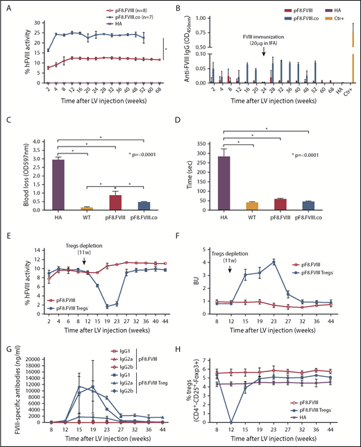 Figure 5. Long-term bleeding correction of B6/129-HA mice after FVIII gene transfer and effects of Tregs depletion after LV.pF8.FVIII delivery. (A) aPTT assay on plasma of LV.pF8.FVIII (n = 8) and LV.pF8.FVIII.co injected mice (n = 7) up to 68 weeks. (B) ELISA assay showing the absence of anti-FVIII antibodies after LV treatment. Bleeding assay (C) and bleeding time (D) demonstrating bleeding correction in all HA injected mice (P < .001), with a significant improvement of the HA phenotype mediated by FVIII.co form (P < .001). (E) hFVIII activity trend in plasma of B6/129-HA mice injected with LV.pF8.hFVIII (n = 10) and underwent Tregs depletion 11 weeks later (n = 5). Bethesda assay showing low titer inhibitors (F) and FVIII-specific isotypes IgG1, IgG2a, and IgG2b (G) in plasma of Tregs depleted mice. (H) Percentage of Tregs (CD4+ CD25+ Foxp3+) in PB of mice from both groups. *P ≤ .0001.