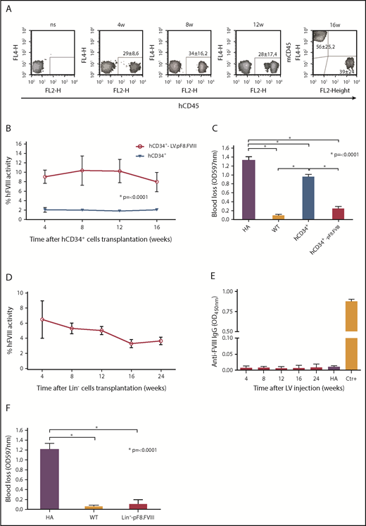 Figure 7. Ex vivo gene therapy using LV.pF8.FVIII. (A) FACS analysis for hD45 showing human chimerism after LV.pF8.FVIII-CD34+ transplant in NSG-HA mice for up to 3 months. aPTT (B) and bleeding (C) assays confirm therapeutic activity of FVIII and phenotypic correction in mice transplanted with LV.pF8.FVIII-hCD34+. (D) aPTT showing FVIII activity rescue after Lin− transduced cell transplantation. (E) ELISA assay demonstrates the absence of anti-FVIII antibodies in Lin− transplanted mice. (F) Bleeding assay in mice transplanted with transduced hCD34+ or murine Lin− cells demonstrate the achievement of phenotypic correction in all treated mice. *P ≤ .0001.