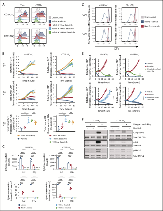 Figure 1. Dasatinib is a potent, rapid, and reversible inhibitor of CAR-T cell function. Mock (untransduced), CD19.28ζ, and CD19.BBζ CAR-T cells were cocultured with CD19+ Nalm6-GL at 1:1 and/or 1:8 effector:target (E:T) ratio in the presence of the concentrations of dasatinib noted. (A) CD69 and CD107a expression following 6 hours of coculture at 1:1 E:T (representative histograms, similar results observed using n = 3 donors). (B) Cocultures at a 1:1 and 1:8 E:T were analyzed in an IncuCyte to assess CAR-T cell cytotoxicity. Tumor GFP fluorescence intensity was normalized to the first time point (triplicate wells; representative donor, top and middle). The fold change in tumor fluorescence intensity from t = 0 to t = 72 hours for 1:8 E:T cultures across 3 donors is shown with each dot representing results from 1 donor (bottom). (C) IL-2 and interferon-γ secretion after a 24-hour coculture (top, triplicate wells from 1 representative donor; bottom, normalized data from 3 independent donors, with each dot representing results from 1 donor). (D) CAR-T cells were preloaded with Cell Trace Violet (CTV) cytosolic dye and cocultured at a 1:1 E:T in 1 μM dasatinib or vehicle for 72 hours. CAR-T cell proliferation was assessed via flow cytometry (representative histograms of n = 3 donors). (E) CAR-T cells were cocultured in 1 μM dasatinib or vehicle and analyzed in an IncuCyte as described previously. At t = 20 hours, dasatinib was either removed (top) or added (bottom) (triplicate wells; result is representative of n = 3 donors). (F) CAR-T cells cultured in the presence of 1 μM dasatinib or vehicle were stimulated with 5 μg/mL anti-FMC63 idiotype + 5 μg/mL goat anti-mouse secondary for 5 minutes. Cells were lysed; phosphoprotein and total protein levels were subsequently assessed via western blot (representative blots, n = 3 donors). Representative plots display the mean ± standard deviation of 3 technical replicates; dot plots display the mean ± standard error of the mean of 3 independent donors. *P < .05; **P < .01; ****P < .0001; not significant (ns), P > .05. IFN-γ, interferon-γ; ND, not detectable.