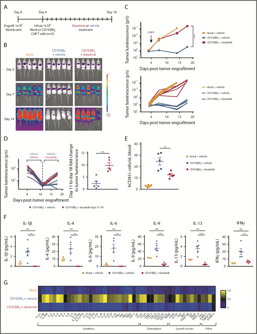 Figure 2. Dasatinib suppresses CAR-T cell expansion, cytokine secretion, and tumor control in vivo. (A) 1 × 106 CD19+ Nalm6-GL, which stably express GFP and luciferase, were engrafted into 6- to 8-week-old NSG mice via IV injection (n = 5 mice/group). At 4 days postengraftment, 1 × 106 mock (untransduced) or CD19.BBζ CAR-T cells were infused via IV injection. Mice were subsequently dosed with 50 mg/kg dasatinib or vehicle on the day of infusion and everyday thereafter either twice daily (shown) or daily (replicate experiment). (B) Tumor growth was monitored via bioluminescence imaging as quantified in (C) (representative plot of n = 2 independent experiments). (D) At day 8 after CAR-T infusion (day 12 postengraftment), where indicated, mice that had received vehicle were switched to 50 mg/kg dasatinib twice daily for 7 days (representative plot, n = 2 independent experiments). (E) Blood samples were collected retroorbitally on day 8 after CAR-T infusion (day 12 postengraftment), and circulating CAR-T cells were quantified via flow cytometry (n = 5 mice from n = 1 experiment). (F-G) Blood samples were collected retroorbitally on day 3 after CAR-T infusion (day 7 postengraftment), and plasma was isolated after a brief centrifugation. Circulating concentrations of cytokines, chemokines, and growth factors were measured via Luminex (mock n = 3 mice, vehicle and dasatinib n = 5 mice from n = 1 experiment). (G) Heat map values were generated by normalizing to the sum of the mean concentrations of the 3 experimental groups. Representative plots display mean ± standard error of the mean of replicate mice within 1 experiment (n = 2 independent experiments). **P < .01; ***P < .001; ****P < .0001; ns, P > .05.
