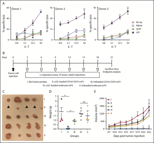 Figure 7. Treatment with the αGC-loaded CD1d-CD19 fusion limits tumor growth in vivo. (A) Freshly isolated hu-iNKT cells were plated with 51Cr-labeled MC38-CD19+ at varying E:T ratios with no stimulus (no Ag), PBS44, or ULFP or LFP (1 μg/mL). After 16 to 18 hours, culture supernatants were collected, radioactivity quantified, and percent specific lysis calculated. Depicted are results obtained using iNKT cells from 3 independent healthy donors. (B) Mice were grafted subcutaneously with 700 000 MC38-CD19+ cells, and treatment was started 72 hours later. Mice were treated every 3 days for a total of 6 doses CD1d-CD19 with either phosphate-buffered saline (control), αGC-loaded or unloaded CD1d-CD19 fusion (40 μg), or equivalent amounts of αGC-loaded or unloaded irrelevant Cd1d-Her2 fusion (40 μg). Mice were analyzed after 3 weeks. (C) Excised tumors from 1 representative experiment. ▲, no visible or palpable tumors. Weight (D) and volume (E) of excised tumors. Data in panels D-E are presented as mean ± SD of 4 to 5 mice per group from 1 of 2 independent experiments. Significance was determined by unpaired 2-tailed Student t test (D) or 2-way ANOVA (A,E). *P < .05, **P < .01.