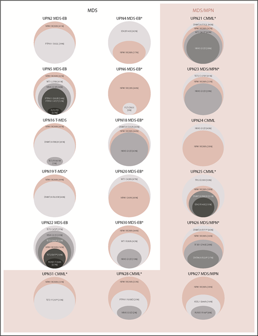 Figure 2. Variant allele frequencies (VAFs) of identified mutations in patients with NPM1-mutated MDS and MDS/MPN. Clonal composition, including the VAF of each individual driver mutation, identified within patients with NPM1-mutated MDS and MDS/MPN with available NGS data and ≥1 additional detectable mutation. Median VAF of NPM1 mutations is 0.38 (range, 0.09-0.49), with NPM1 mutations appearing in major clones in all patients with the exception of UPN 4, UPN 22, and UPN 25, as observed. *Patient had normal karyotype by conventional karyotyping.