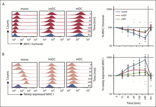 Figure 2. Monocytes show a shorter surface MHC I half-life than DCs. (A) MHC I surface turnover of monocytes, imDCs, and mDCs examined at the indicated time points over 4 hours (red histograms). (B) Newly expressed MHC I on monocytes, imDCs, and mDCs examined at the indicated time points over 4 hours (light red histograms). The 4°C control was incubated for 4 hours and is shown in blue histograms. Graphs in panels A and B indicate the mean fluorescence intensity (MFI) of MHC I expression normalized to MFI values of time point 0 (means ± 95% CI, n = 6 for monocytes, imDC, and mDCs; 1 out of 4 independent experiments). **P ≤ .005; *P ≤ .05; Kruskal-Wallis test with Dunn’s correction for multiple comparison.