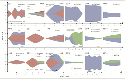 Figure 2. Clonal dynamics of STAT3 and TCR clonotypes throughout clinical course of patients with T-LGLL. Fish plots depicting the clonal expansions of 18 patients with T-LGLL. Sampling points are shown along the x-axis, and the clonal burden is shown on the y-axis. NR, no response; R, response.