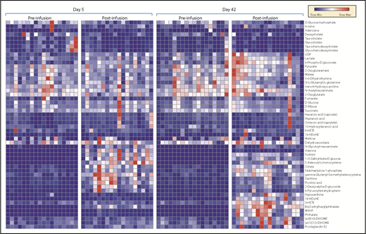 Figure 2. Metabolic phenotypes of plasma pre- and postinfusion of day 5 or day 42 RBC concentrates. HDoHE, hydroxydocosahexaenoic acid; MEHP, mono-ethylhexyl phthalate; UDP, uridine diphosphate.
