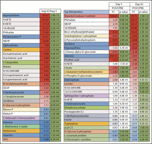 Figure 3. Highlights of the most significant changes in the plasma metabolome following transfusion of day 5 or day 42 stored RBCs. DEHP, bis(2-ethylhexyl)phthalate.