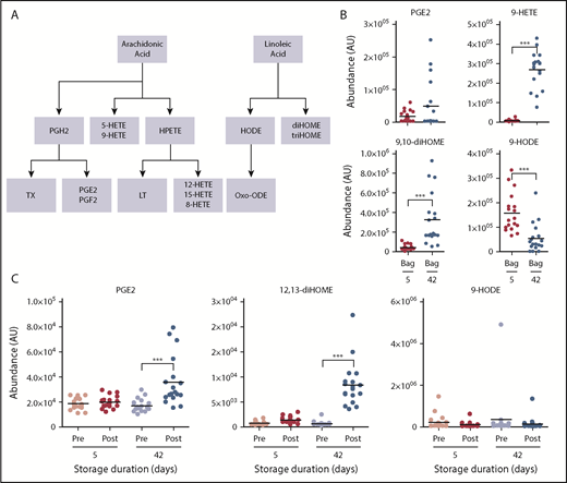 Figure 5. Overview of eicosanoids and oxylipins in the supernatants of RBCs stored for 5 and 42 days and in the plasma of autologous recipients pre- and posttransfusion of the same units. (A) Outline of eicosanoid and oxylipin metabolism. (B) Levels of eicosanoids in RBC supernatants at 5 and 42 days. (C) Levels of eicosanoids in autologous recipient plasma. ***P < .001; ****P < .0001 (2-tailed paired Student t test). HPETE, hydroperoxyeicosatetraenoic acid; LT, leukotriene; Oxo-ODE, oxo-octadecadienoic acid; PGE2, prostaglandin E2; PGF2, prostaglandin F2; PGH2, prostaglandin H2; TX, thromboxane.