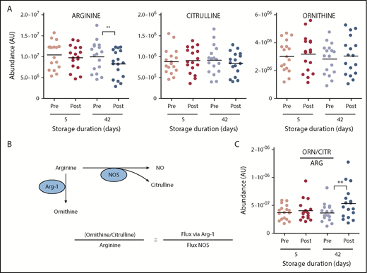 Figure 6. Overview of arginine (ARG) and NO metabolism in the supernatants of RBCs stored for 5 and 42 days and in the plasma of autologous recipients pre- and posttransfusion of the same units. (A) Arginine and its downstream metabolites. (B) Outline of arginine metabolism by NO synthase (NOS) and arginase. (C) Determination of arginine fate. **P < .01 (2-tailed paired Student t test). CTR, citrulline; ORN, ornithine.