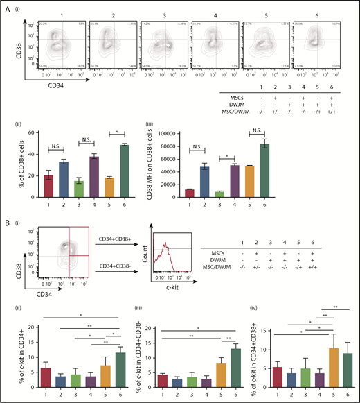 Figure 5. DWJM maintains the CD34+ CD38− phenotype and increases c-Kit expression of CD34+ cells. (Ai) Expression of CD38 on CD34+ cells after 7-day culture under 6 culture conditions. (ii) Frequency of CD38+ cells. (iii) CD38 MFI on gated CD38+ cells. (B) c-Kit expression in CD34+ cells under 6 conditions. HPSCs were stained with 1 antibody composed of CD34, CD38, and c-Kit. (i) Gating strategy. Percentages of c-Kit+ cells were analyzed in CD34+CD38+ (top) and CD34+CD38− (bottom) cell subsets. (ii) Summary of c-Kit+ percentages in CD34+, (iii) CD34+CD38−, and (iv) CD34+CD38+ cell subsets under 6 conditions for 7 days (data from 3 independent studies, expressed as mean ± SEM, *P < .05, **P < .01). N.S., not significant.