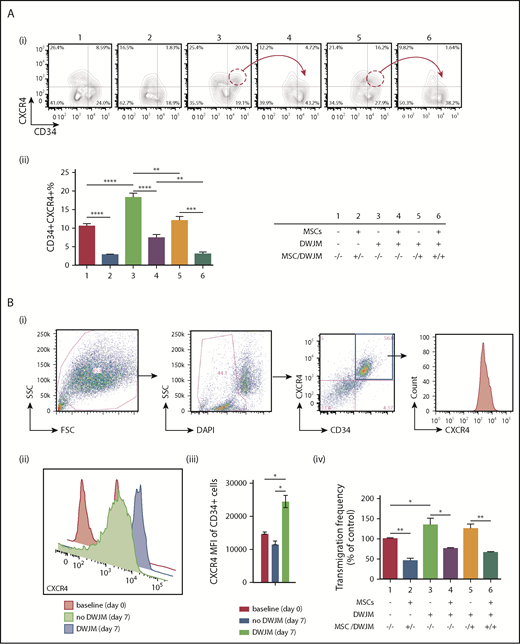 Figure 7. DWJM increases CXCR4 cell surface expression and enhances CD34+ cell transmigration. (Ai) Contour plots of CD34 and CXCR4 expression on CD34+ cells. (Aii) Percentage of CD34+CXCR4+ cells from 3 independent experiments (n = 3, data are expressed as mean ± SEM, **P < .01, ***P < .001, ****P < .0001). (Bi) Gating strategy: debris exclusion → dead cell exclusion → MFI analysis of CXCR4 expression on gated CD34+ cells. (Bii) CXCR4 expression on gated CD34+CD34+ cells at baseline (red, day 0), culture without DWJM (green, day 7), and culture with DWJM (purple, day 7). (Biii) Summary of CXCR4 expression on CD34+ cells. (Biv) Transwell assay (n = 3, data are expressed as mean ± SEM, *P < .05, **P < .01). DAPI, 4′,6-diamidino-2-phenylindole; FSC, forward scatter; SCC, side scatter.