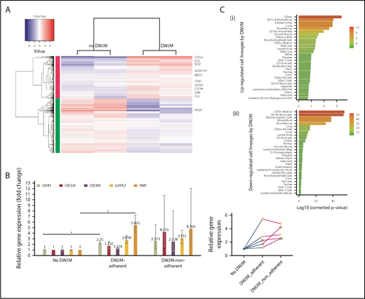 Figure 8. DWJM affects gene expression profile of UCB-derived CD34+ cells. (A) RNAseq analysis. Heat map showing significantly up- and downregulated genes in UCB CD34+ cells cultured in DWJM or in suspension (control). (B) qPCR verification of 5 genes (CD41, CXCL8, CXCR4, GATA2, VWF) that were identified by RNAseq. (C) Genes influenced by DWJM. (i) Upregulated genes by DWJM. (ii) Downregulated genes by DWJM. CD34+ cells cultured in the absence of DWJM served as the baseline. *Statistically significant. NK, natural killer.