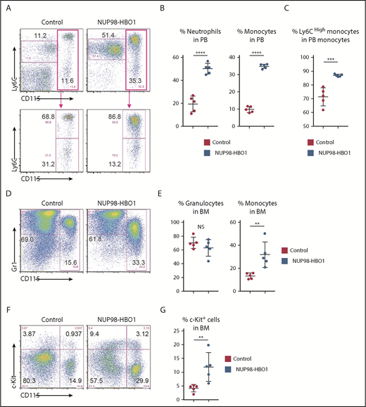 Figure 3. Increased classical monocytes in NUP98-HBO1 BMT mice. (A) Flow cytometric analysis of CD115/Ly6C expression in PB WBCs from the control and NUP98-HBO1 BMT mice at 8 to 10 weeks after transplantation. (B) Percentage of monocytes (CD115+) and neutrophils (CD115− Ly6Cdim) in PB WBCs from the control and NUP98-HBO1 BMT mice. (C) Percentage of inflammatory monocytes (CD115+ Ly6Chigh) in PB monocytes from the control and NUP98-HBO1 BMT mice. (D) Flow cytometric analysis of Gr1/CD115 expression in BM cells from the control at 8 to 10 weeks after BMT and moribund NUP98-HBO1 BMT mice. (E) Percentage of granulocytes (CD115− Gr1high) and monocytes (CD115+) in BM from the control and NUP98-HBO1 BMT mice. (F) Flow cytometric analysis of c-Kit/CD115 expression in BM cells from the control and NUP98-HBO1 BMT mice. (G) Percentage of c-Kit+ immature cells in BM from the control and NUP98-HBO1 BMT mice. Throughout, n = 5 per group; data are presented as mean ± SD. **P < .01, ***P < .001, ****P < .0001. NS, not significant.
