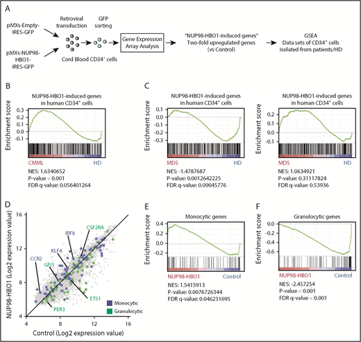 Figure 4. CMML-specific gene signature in NUP98-HBO1–transduced human CD34+ cells. (A) Schematic diagram of the experimental strategy for gene expression array analysis. (B) GSEA plot showing the ranked NUP98-HBO1–induced genes in CB CD34+ cells. NUP98-HBO1–induced genes were tested in the data set of PB CD34+ cells from patients with CMML (n = 15) and HDs (n = 4) (E-MTAB-1044). (C) GSEA plot showing the ranked NUP98-HBO1–induced genes in CB CD34+ cells. NUP98-HBO1–induced genes were tested in the data set of BM CD34+ cells from patients with MDS (n = 26) and HD (n = 4) (GSE43399) or MDS (n = 183) and HD (n = 17) (GSE19429). (D) Scatter plot of NUP98-HBO1–induced genes in CB CD34+ cells. (E-F) Ranked monocytic gene signature (E) and granulocytic gene signature (F) were tested in the data set of NUP98-HBO1–induced genes in CB CD34+ cells.