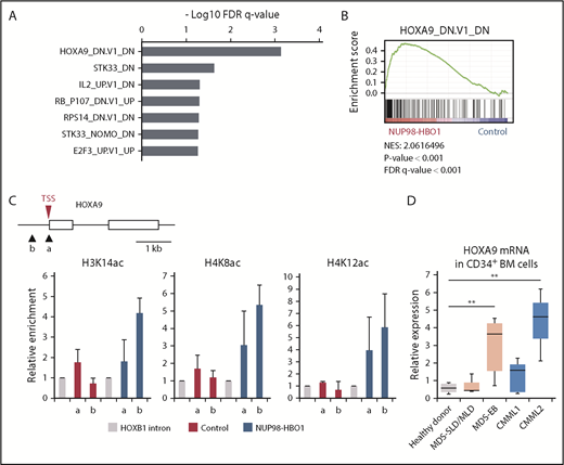 Figure 5. Upregulation of oncogenic HOXA9 signature by NUP98-HBO1–mediated aberrant histone acetylation. (A-B) GSEA of MSigDB C6-oncogenic signatures. The top-ranked signatures (A) and representative plot of ranked HOXA9-induced gene signature (B) are shown. (C) Acetylation levels of H3K14, H4K8, and H4K12 of the HOXA9 gene promoter. ChIP-qPCR was performed using CB CD34+ cells. In the schematic of HOXA9 promoter region, arrowheads (a and b) indicate the location of the primers. (D) HOXA9 mRNA expression in CD34+ BM cells obtained from the indicated patients and HDs. MDS with single lineage dysplasia/multilineage dysplasia, n = 3; MDS with EB, n = 6; CMML1, n = 5; CMML2, n = 3; HD, n = 4. Data are presented as mean ± SD. **P < .01. TSS, transcription start site.