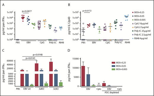 Figure 1. EBV infection elicits type I IFN production in PBMCs in a pDC-dependent manner. Total PBMCs were exposed to EBV, CpG C, Poly I:C, or R848 at the indicated concentrations, and culture supernatants were collected after 18 to 24 hours and analyzed for cytokine production according to enzyme-linked immunosorbent assay. IFN-α (A) and IL-12p40 (B) content was measured. (C) PBMCs were inoculated with wild-type EBV (wt), EBNA3A-deficient EBV (3aKO), or EBNA3C-deficient EBV (3cKO), and IFN-α production was measured. MOI 0.005, n = 5; MOI 0.05, n = 7; and MOI 0.25, n = 9. (D) Total PBMCs were compared with pDC-depleted PBMCs. MOI 0.005, n = 2; MOI 0.05, n = 4; and MOI 0.25, n = 2. Paired Student t tests were used for all graphs.