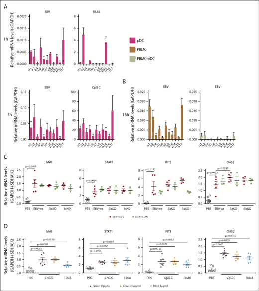 Figure 2. EBV elicits IFN-α1, IFN-α2, IFN-α5, IFN-α7, IFN-α14, and IFN-α17 preferentially after pDC stimulation in PBMCs. (A) Relative messenger RNA (mRNA) levels of IFN-α subtypes were measured in isolated pDCs exposed to EBV or R848 for 1 hour (n = 2) or to EBV (n = 4 for IFN-α16 and IFN-α17; n = 5 for the other IFN-α subtypes) or CpG C (n = 2) for 5 hours. (B) Relative mRNA levels of IFN-α subtypes were measured on total PBMCs or pDC-depleted PBMCs 16 hours after infection (n = 3). (C) Total PBMCs were exposed to wild-type EBV (wt), EBNA3A-deficient EBV (3aKO), or EBNA3C-deficient EBV (3cKO) for 24 hours. Relative mRNA levels of the ISGs MxB, STAT1, IFIT3, and OAS2 were measured by using quantitative real-time polymerase chain reaction. (D) Total PBMCs were exposed to class C CpG ODN 2395 (CpG C) or R848 for 24 hours. Relative mRNA levels of the ISGs were assessed as in panel D. Paired Student t tests were used for statistical analyses. Glyceraldehyde 3-phosphate dehydrogenase (GAPDH) and succinate dehydrogenase complex flavoprotein subunit A (SDHA) were used to normalize mRNA levels.