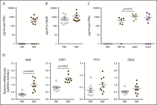 Figure 4. EBV infection elicits type I IFN production in huNSG mice. huNSG mice were infected with 5 × 105 RGU EBV, and blood samples were analyzed 18 hours postinfection. IFN-α (A) or IL-12p40 (B) production was measured in the serum by enzyme-linked immunosorbent assay (PBS, n = 11; EBV, n = 12). (C) IFN-α levels were compared in the serum of huNSG mice that were PBS treated (n = 6) or infected with either 5 × 105 RGU of wild-type EBV (wt, n = 6), EBNA3A-deficient EBV (3aKO, n = 6), or EBNA3C-deficient EBV (3cKO, n = 8). (D) ISG induction was measured in blood leukocyte lysates by using quantitative real-time polymerase chain reaction. n = 8 for PBS; n = 9 for EBV. Unpaired Student t tests were applied.