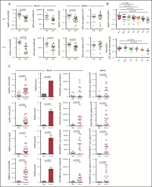 EBV infection decreases pDCs in the blood of huNSG mice. (A) The DC subsets, pDCs (huCD45+, HLA-DR+, CD3CD19CD56–, CD14CD16–, CD11c–, and BDCA-2+), and cDCs (huCD45+, HLA-DR+, CD3CD19CD56–, CD14CD16–, and CD11c+) were examined by using flow cytometry (see supplemental Figure 5A for gating strategy) in the blood and spleens of huNSG mice, 5 to 6 weeks after infection with 1 × 105 RGU EBV IP or PBS treatment as a control. The DC frequencies of huCD45+ cells (n = 16-21, from 6 individual cohorts) and total numbers (n = 12-15, from 5 individual cohorts) of the DC subsets were determined. (B) pDC frequencies (n = 16-20, paired Student t test) and total numbers (n = 4-11, unpaired Student t test) were measured over time. (C) FLT3L (20 μg per mouse) or PBS was injected IP into huNSG mice for 5 or 8 consecutive days to expand the DC compartment. The DC frequencies of huCD45+ cells, their fold increase, and total DC numbers in the blood (PBS, n = 15; FLT3L, n = 20), as well as the total DC number in the spleen (PBS, n = 9; FLT3L, n = 13), were assessed for pDCs, cDCs, and the BDCA-1+ or BDCA-3+ cDC subsets. (D) After 8 IP injections of FLT3L, huNSG mice from one cohort were infected with 1 × 105 RGU EBV and thereafter monitored for T-cell expansion and EBV viral load in the blood (schematic depiction). (E) EBV viral load was determined at weeks 3 to 5 in the blood and at week 5 in the spleen. (F) Spleen weight was determined at week 5, and unpaired Student t tests were applied. (G) Conversion of the CD8/CD4 T-cell ratio was monitored weekly in the blood and in the spleen at week 5. Total CD8+ and CD4+ T-cell numbers per milliliter whole blood and per spleen at week 5 are depicted. In the summary graphs over time (E,G), data are presented as the mean ± SEM (PBS, n = 2; FLT3L, n = 3; EBV + PBS, n = 4; EBV + FLT3L, n = 4).