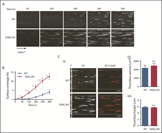 Figure 4. DGKζ deficiency improves platelet adhesion to collagen under conditions of flow. Whole blood collected from WT and DGKζ-KO mice was labeled with mepacrine and flowed over collagen-coated microchannels. (A) Representative images of platelet coverage under conditions of arterial shear (1500 s−1). Images were taken under ×20 objective. (B) Surface area coverage at the indicated time points was quantified and reported as the mean ± SEM (n = 6). (C) Microchannels were washed after whole blood perfusion for 300 seconds and fixed, permeabilized, and stained with phalloidin-TRITC; Z stack images were then taken. (i) Representative Z stack images. Bars represent 100 μm. The volume (ii) and height (iii) of each platelet thrombus at 300 seconds were quantified and reported as the mean ± SEM (n = 5; 76-116 thrombi per sample). Statistical analysis was performed by the unpaired Student t test. *P < .05, **P < .01, ***P < .001 of DGKζ-KO as compared with WT.