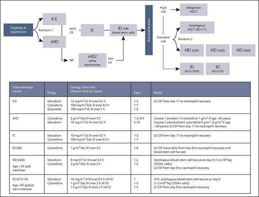 Figure 1. Design of the Northern Italy Leukemia Group AML trial 02/06. ICE was compared with sHD induction chemotherapy. After a common 2-step CR induction and early consolidation phase, patients received 1 of 2 types of final consolidation, depending on risk. Patients at HR received allogeneic HSCT. Patients at SR, 65 years of age or younger, and mobilizing blood stem cells underwent a second randomization to either standard BU-CY-conditioned autologous HSCT or up to 3 repetitive blood stem cell-supported HD courses, denoted “A20” after the cumulative cytarabine (arabinosylcytosine, A) dose of 20 g/m2. SR patients unable to proceed to HD consolidation could receive allogeneic HSCT, and HR patients unable to receive HSCT could undergo HD consolidation. Patients older than 65 years and/or not mobilizing blood stem cells underwent 1 to 2 additional age-adapted ID consolidation courses, denoted “A15,” “A10,” or “A8” after the cumulative cytarabine dose (dashed line).