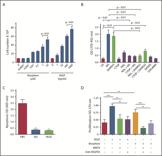 Figure 3. Morphine (MS) and VEGF promote proliferation and survival signaling in RECs of sickle mice, and MS-induced proliferation is dependent on MOR. (A) RECs from NY1DD sickle mice show concentration-dependent increase in proliferation by MS and VEGF. (B) MS (1 μM) and MOR-selective agonist DAMGO (1 μM) stimulated proliferation of RECs from NY1DD sickle mice, which was inhibited by nonselective antagonist naloxone (NAL; 1 μM) and MOR-selective antagonist CTOP (1 μM). Specific antagonists for opioid receptors δ (DPDPE; 1 μM) and κ (U50488H; 1 μM) had no effect on proliferation. N = 3 mice per treatment. All values are mean ± SEM, and significance (P < .01) was determined by 1-way analysis of variance, Dunnet’s multiple comparisons. (C) MS (10 μM) and VEGF164 (100 ng/mL) promote survival signaling in NY1DD RECs. Results represent mean ± SEM of 3 independent experiments performed in triplicate. (D) N = 5 to 8 independent experiments. *P < .0005 vs phosphate-buffered saline (PBS) was determined by an unpaired 2-tailed t test, **P < .05 and ***P < .01 1-way analysis of variance with Bonferroni’s multiple comparisons.
