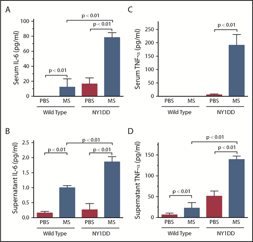 Figure 4. Morphine (MS) increases IL-6 and TNFα levels in serum and their secretion from RECs of sickle mice. Proinflammatory cytokines IL-6 (A-B) and TNFα (C-D) increased in serum of NY1DD sickle mice after MS treatment for 15 months (A,C) or conditioned medium from NY sickle RECs after MS treatment for 48 hours (B,D). All values are mean ± SEM for 3 mice per group or 3 independent experiments with RECs performed in triplicate. Significance was determined by 1-way analysis of variance, Dunnet’s multiple comparisons.