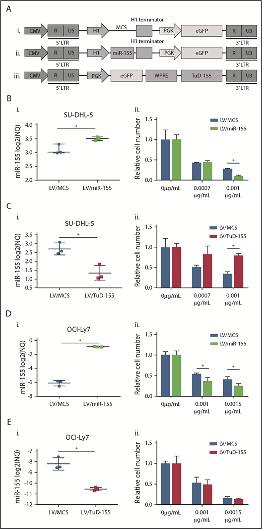 Figure 1. Changes in miR-155 expression in GCB-DLBCL cell lines affect vincristine response. (A) Schematic overview of lentiviral vector plasmids used as control (i), for expression of miR-155 (ii) and TuD-155 (iii) inhibitor in fusion with eGFP. (B-E) Up- and downregulation of miR-155 was detected by RT-qPCR in (Bi,Ci) SU-DHL-5 and (Di,Ei) OCI-Ly7 cells and followed by vincristine dose-response analysis. (Bii,Cii,Dii,Eii) Drug response is illustrated as percentage of living cells related to the no-drug treated condition. CMV, cytomegalovirus promoter; LTR, long terminal repeat; NQ, normalized quantity; PGK, phosphoglycerate kinase promoter; WPRE, woodchuck hepatitis virus posttranscriptional regulatory element.
