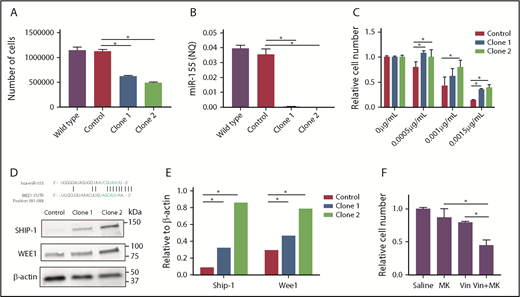 Figure 2. miR-155 knockout experiments. Two independent miR-155 knockout clones were generated in OCI-Ly7 cells by the CRISPR-Cas9 technology. Wild-type accounts for untransduced OCI-Ly7 cells, whereas control is an OCI-Ly7 population subjected to a sgRNA not targeting the human genome. (A) Cell proliferation was determined by the trypan blue exclusion method after 48 hours of growth in wild-type, control cells, and miR-155 knockout clones. (B) miR-155 expression detected by RT-qPCR. (C) Vincristine dose-response analysis using 0.0005 µg/mL, 0.001 µg/mL, and 0.0015 µg/mL. Drug response is illustrated as percentage of living cells related to the no-drug condition. (D) Detection of Wee1 protein by western blotting. β-actin was used as loading control and Ship-1, a validated target of miR-155,53 as positive control. (E) Quantification of western blot bands. Ship-1 and Wee1 levels are depicted as relative to β-actin levels. (F) Chemical inhibition of Wee1 by MK-1775. Wild-type OCI-Ly7 cells were exposed to saline, 400 nM MK-1775, 0.0015 µg/mL vincristine or 400 nM MK-1175 and 0.0015 µg/mL vincristine for 48 hours, and the number of metabolically cells were determined by 3-(4,5 dimethylthiazol-2-yl)-5-(3-carboxymethoxyphenyl-2-(4-sulfophenyl)-2H-tetrazolium assay. Drug response is presented as the number of cells relative to the no-drug condition. MK, MK-1775; Vin, vincristine.