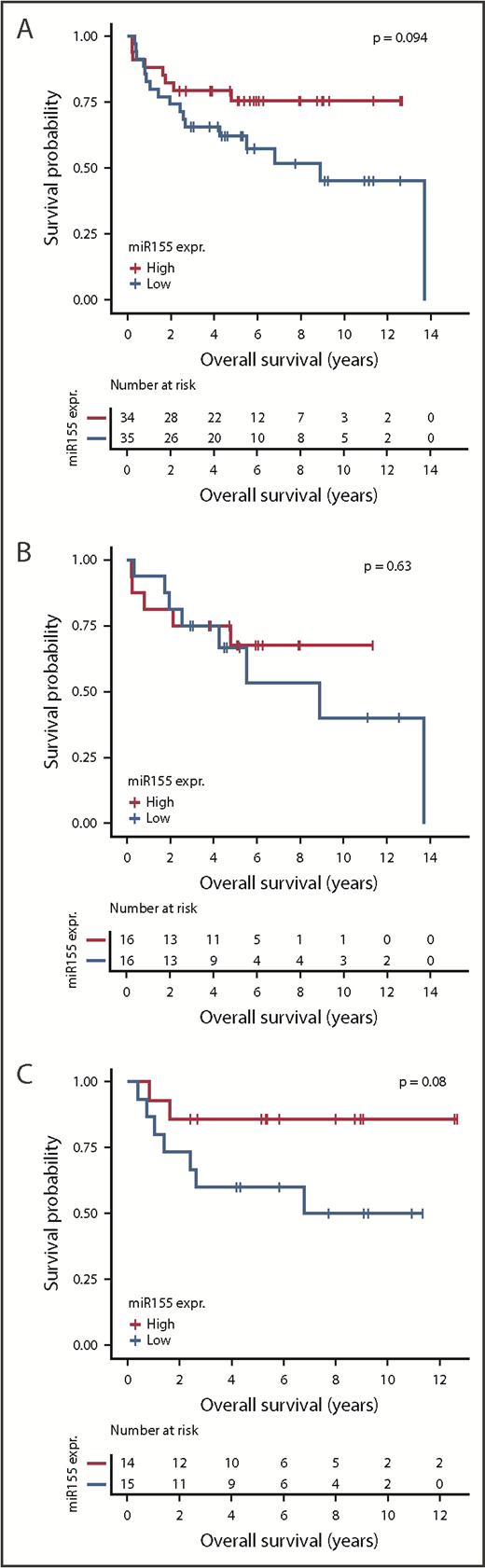 Figure 3. Analysis of prognostic effect of miR-155 expression. Kaplan-Meier plots depicting OS of R-CHOP-treated patients with DLBCL in the in-house cohort. The analysis was conducted for all patients with DLBCL (A), ABC-classified patients (B), and GCB-classified patients (C). For each cohort, patients were dichotomized by median split of miR-155 expression.