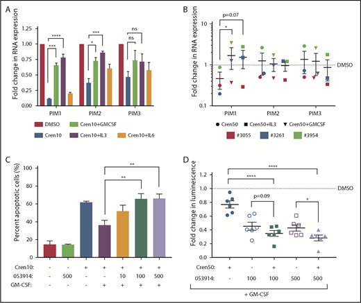 Figure 4. PIM kinases are necessary for cytokine rescue. (A) RNA expression of PIM isoforms in MV4;11 cells after 24 hours of treatment with crenolanib ± the indicated cytokine (n = 3). (B) RNA expression of PIM isoforms in primary human FLT3-ITD AML after 24 hours of treatment with crenolanib ± the indicated cytokine. Dashed line represents DMSO-treated control (n = 3). (C) Percent apoptosis by Annexin-V staining of MV4;11 cells treated with indicated drugs ± GM-CSF (n = 3). (D) Adenosine triphosphate–based survival assay of primary human FLT3-ITD AML treated with crenolanib, PIM inhibitor, and GM-CSF. Supplemental Table 1 provides characteristics of patient samples. Dashed line represents DMSO-treated control (n = 6). Error bars represent SEM. *P < .05; **P < .01; ***P < .001; ****P < .0001. 053914, PIM inhibitor at 10, 100, or 500 nM.