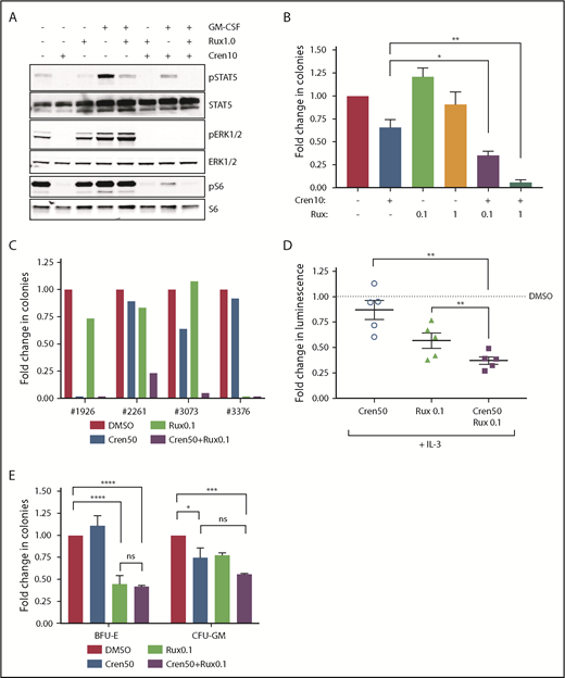 Figure 5. JAK inhibition blocks cytokine rescue. (A) Immunoblot of MV4;11 cells treated with crenolanib 10 nM, ruxolitinib 1 μM, or both for 2 hours, then stimulated with GM-CSF for 15 minutes. Colony-forming assay in cytokine-rich methylcellulose treated with crenolanib, ruxolitinib, or both for MV4;11 cells (B; n = 3) or primary human FLT3-ITD AML (C). (D) Adenosine triphosphate–based survival assay of primary human FLT3-ITD AML treated with crenolanib, ruxolitinib, and IL-3. Supplemental Table 1 provides characteristics of patient samples. Dashed line represents DMSO-treated control (n = 5). (E) Colony-forming assay in cytokine-rich methylcellulose treated with crenolanib, ruxolitinib, PIM inhibitor, or combinations for normal human adult BM CD34+ cells. Error bars represent SEM. *P < .05; **P < .01; ***P < .001; ****P < .0001. Rux, ruxolitinib 0.1 or 1 μM.