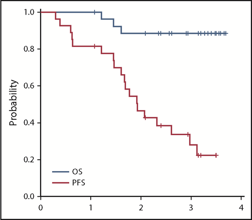 Figure 3. PFS and OS in all patients.